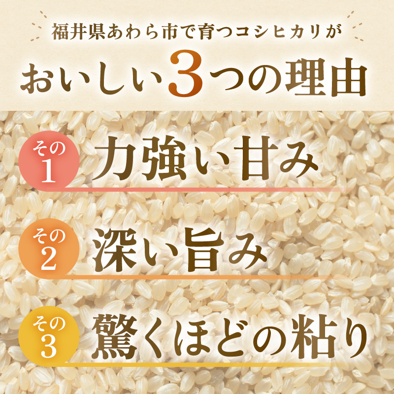 【先行予約】【令和8年産】【定期便】≪6ヶ月連続お届け≫ コシヒカリ 玄米 5kg×6回 （計30kg）化学肥料 農薬不使用 自然栽培米 / 北陸 福井県産 あわら市 ブランド米 玄米 お米 コメ ※2026年10月上旬以降順次発送予定 [aw138-k001]