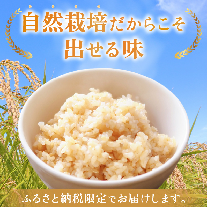 【先行予約】【令和8年産】【定期便】≪6ヶ月連続お届け≫ コシヒカリ 玄米 5kg×6回 （計30kg）化学肥料 農薬不使用 自然栽培米 / 北陸 福井県産 あわら市 ブランド米 玄米 お米 コメ ※2026年10月上旬以降順次発送予定 [aw138-k001]