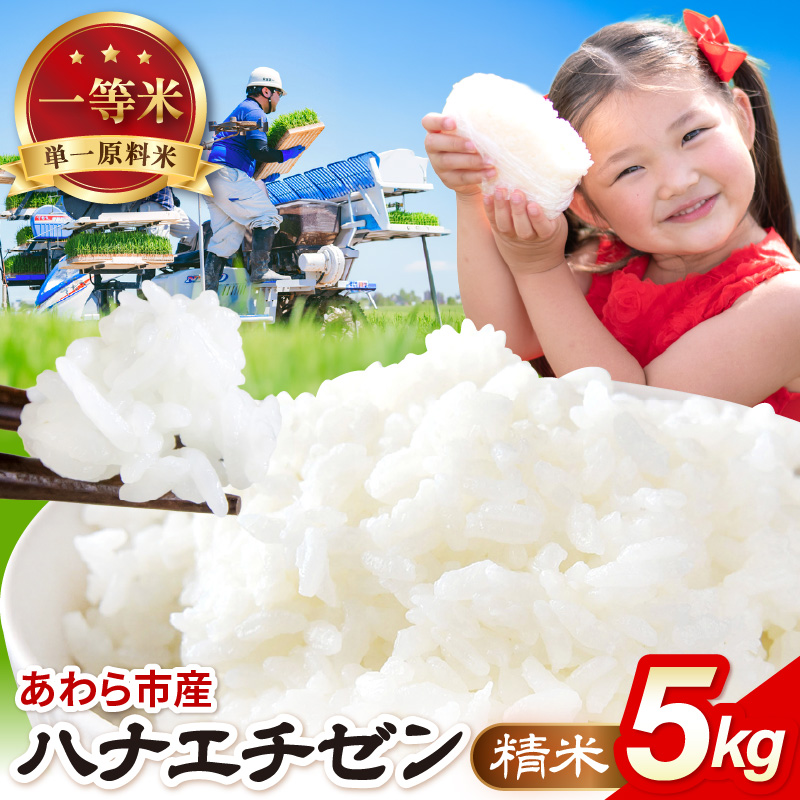 【先行予約】【令和8年産】ハナエチゼン 精米 5kg（農事組合法人イーノなかのはま100） / 北陸 福井県産 あわら市 ブランド米 白米 お米 コメ ※2026年10月より順次発送予定 [aw139-a001]