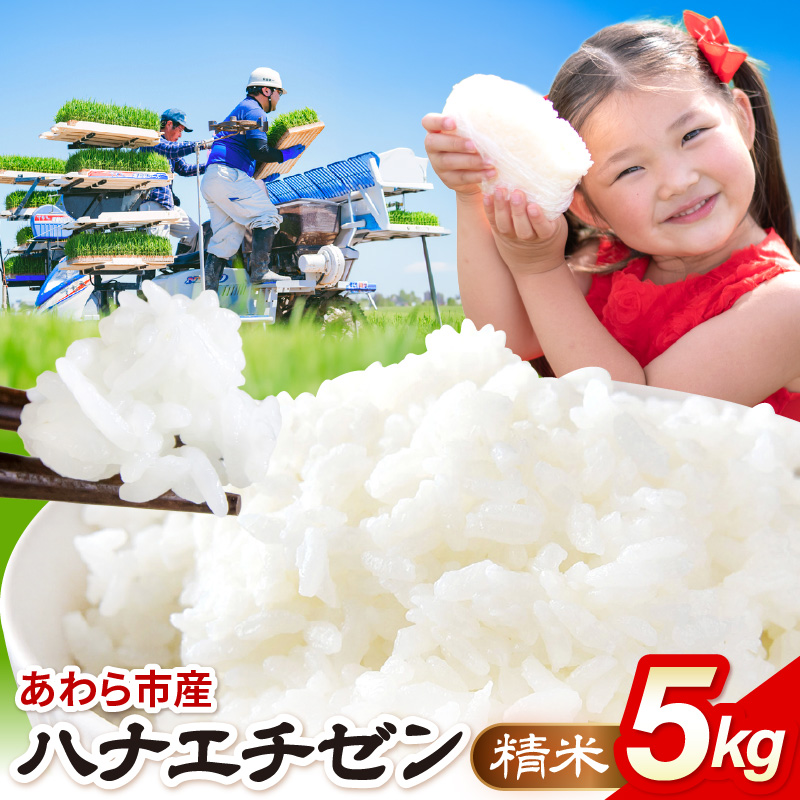 【先行予約】【令和8年産】ハナエチゼン 精米 5kg（農事組合法人イーノなかのはま100） / 北陸 福井県産 あわら市 ブランド米 白米 お米 コメ ※2026年10月より順次発送予定 [aw139-a001]
