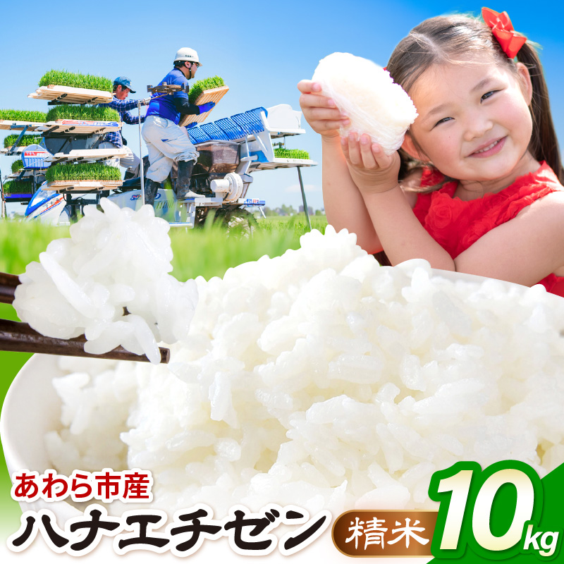 【先行予約】【令和8年産】ハナエチゼン 精米 10kg（農事組合法人イーノなかのはま100） / 北陸 福井県産 あわら市 ブランド米 白米 お米 コメ ※2026年10月より順次発送予定 [aw139-a002]