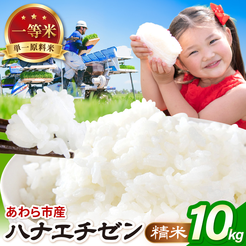 【令和8年産】ハナエチゼン 精米 10kg（農事組合法人イーノなかのはま100） / 北陸 福井県産 あわら市 ブランド米 白米 お米 コメ [aw139-a002]