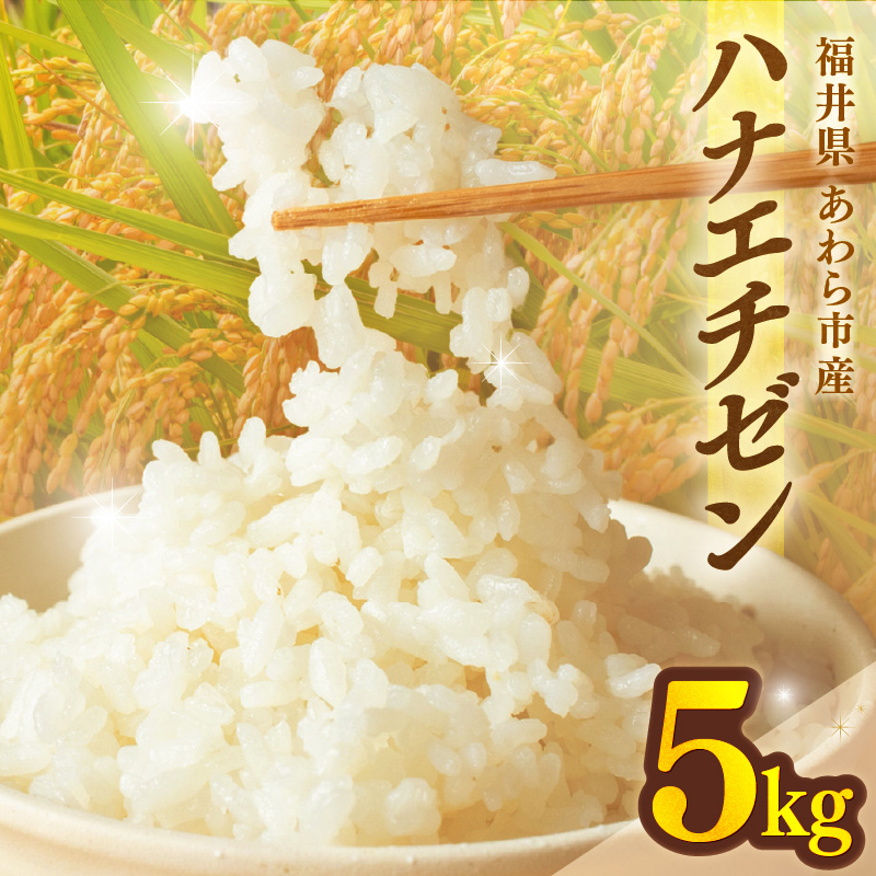 【先行予約】【令和8年産】ハナエチゼン 精米 5kg （長谷川農園）） / 北陸 福井県産 あわら市 ブランド米 白米 お米 コメ ※2026年10月より順次発送予定 [aw139-a003]