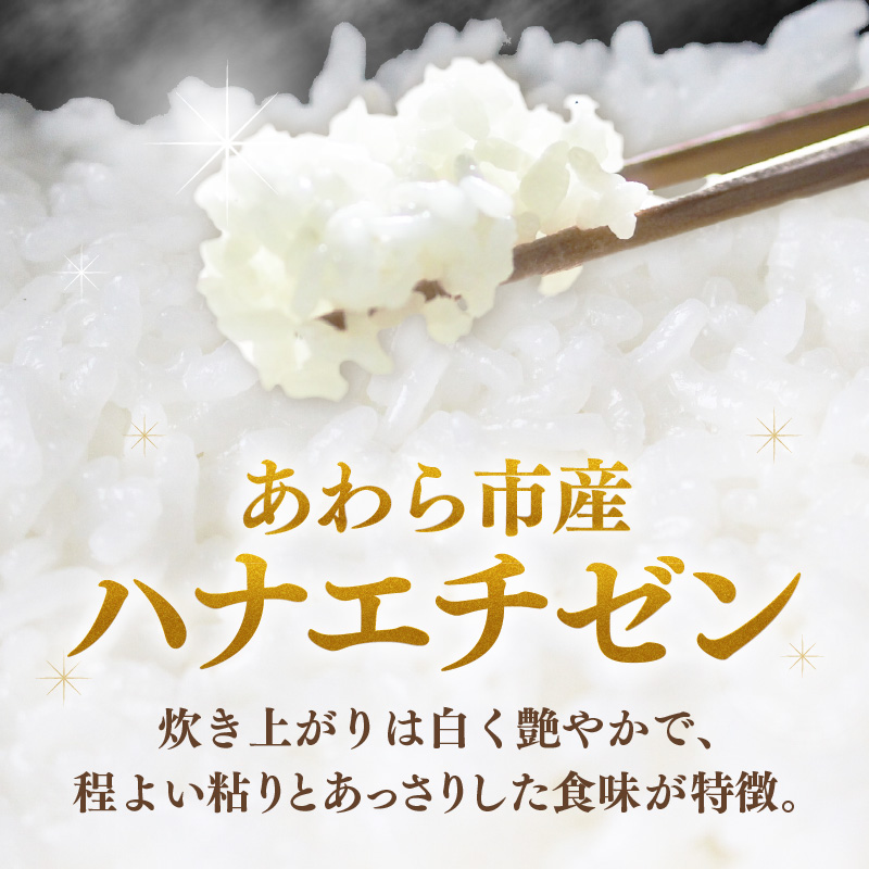 【先行予約】【令和8年産】ハナエチゼン 精米 5kg （長谷川農園）） / 北陸 福井県産 あわら市 ブランド米 白米 お米 コメ ※2026年10月より順次発送予定 [aw139-a003]