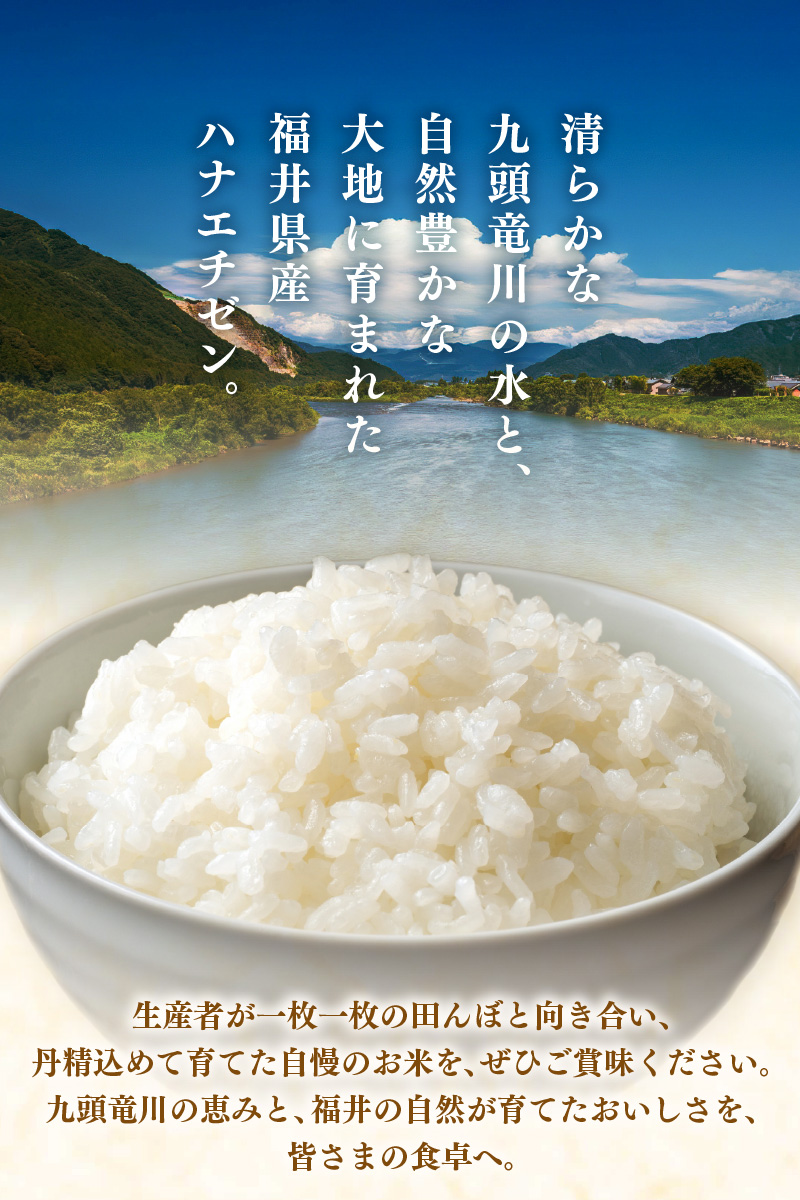 【先行予約】【令和8年産】ハナエチゼン 精米 5kg （長谷川農園）） / 北陸 福井県産 あわら市 ブランド米 白米 お米 コメ ※2026年10月より順次発送予定 [aw139-a003]