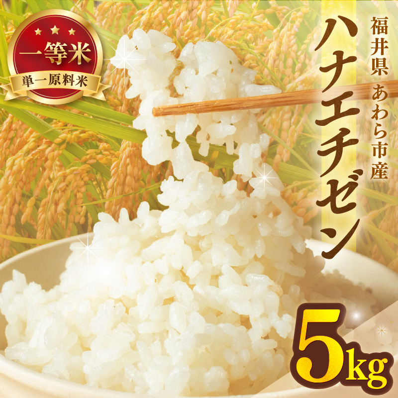 【先行予約】【令和8年産】ハナエチゼン 精米 5kg （長谷川農園）） / 北陸 福井県産 あわら市 ブランド米 白米 お米 コメ ※2026年10月より順次発送予定 [aw139-a003]