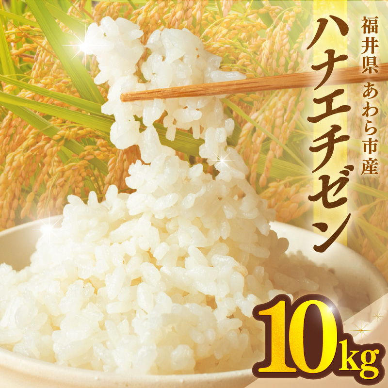 【先行予約】【令和8年産】ハナエチゼン 精米 10kg （長谷川農園）） / 北陸 福井県産 あわら市 ブランド米 白米 お米 コメ ※2026年10月より順次発送予定 [aw139-a004]
