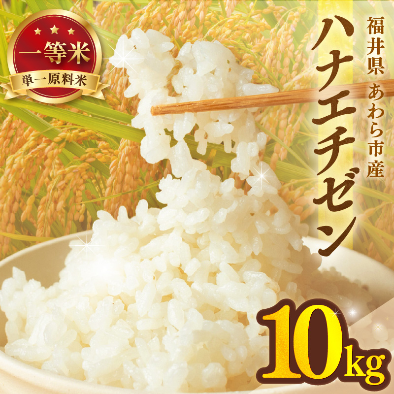 【先行予約】【令和8年産】ハナエチゼン 精米 10kg （長谷川農園）） / 北陸 福井県産 あわら市 ブランド米 白米 お米 コメ ※2026年10月より順次発送予定 [aw139-a004]