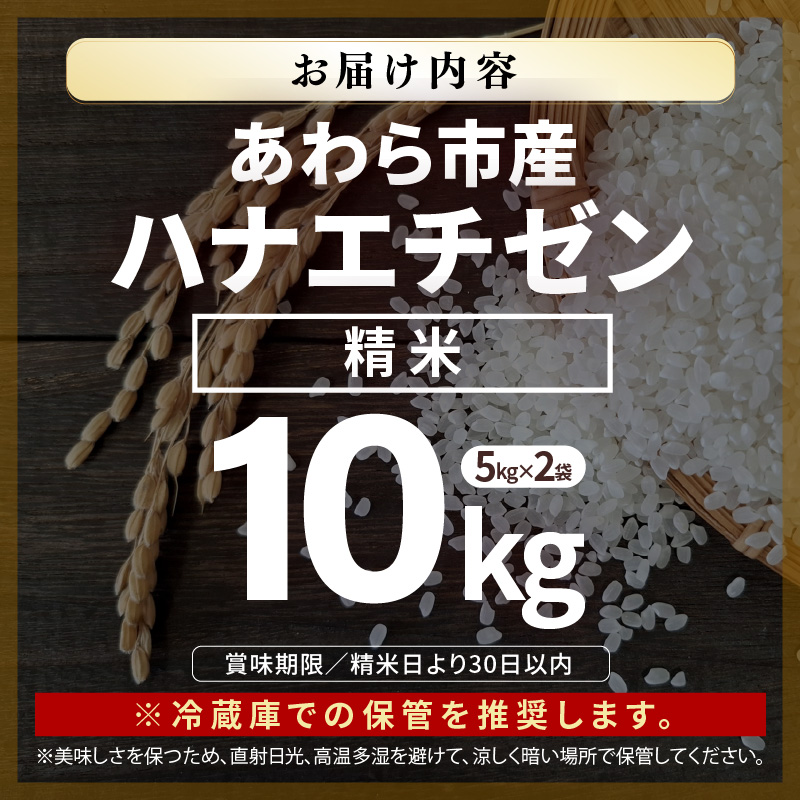 【先行予約】【令和8年産】ハナエチゼン 精米 10kg （長谷川農園）） / 北陸 福井県産 あわら市 ブランド米 白米 お米 コメ ※2026年10月より順次発送予定 [aw139-a004]