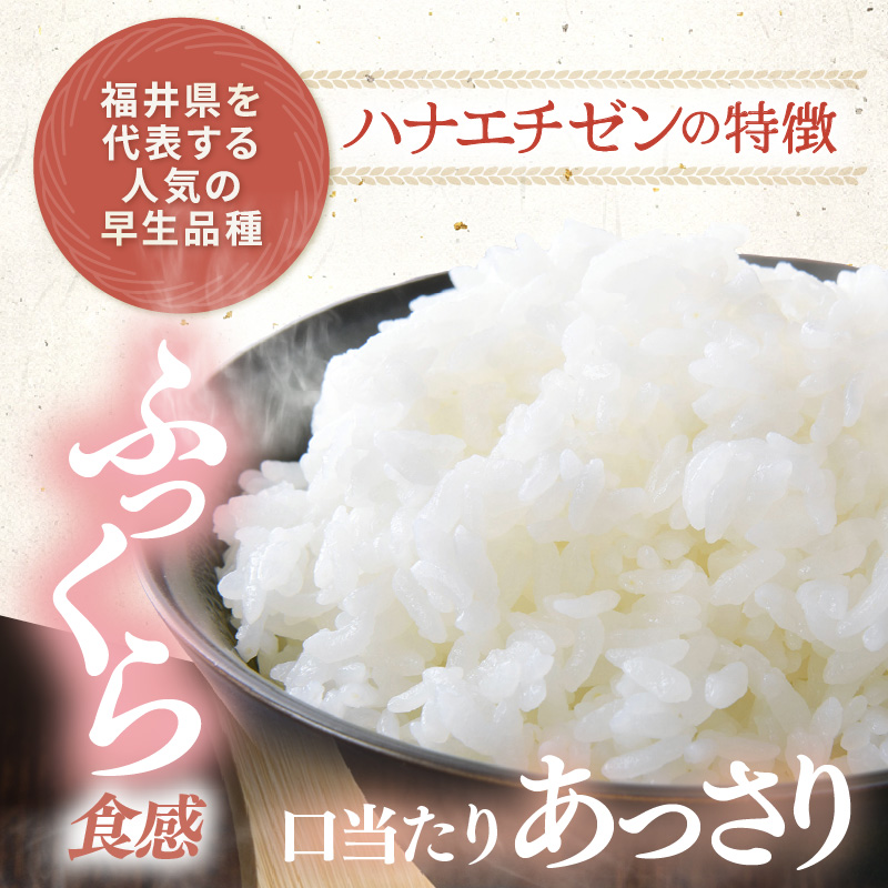 【先行予約】【令和8年産】定期便≪3ヶ月連続お届け≫ハナエチゼン 精米 5kg（計15kg）（農事組合法人イーノなかのはま100） / 北陸 福井県産 あわら市 ブランド米 白米 お米 コメ ※2026年10月より順次発送予定 [aw139-b001]