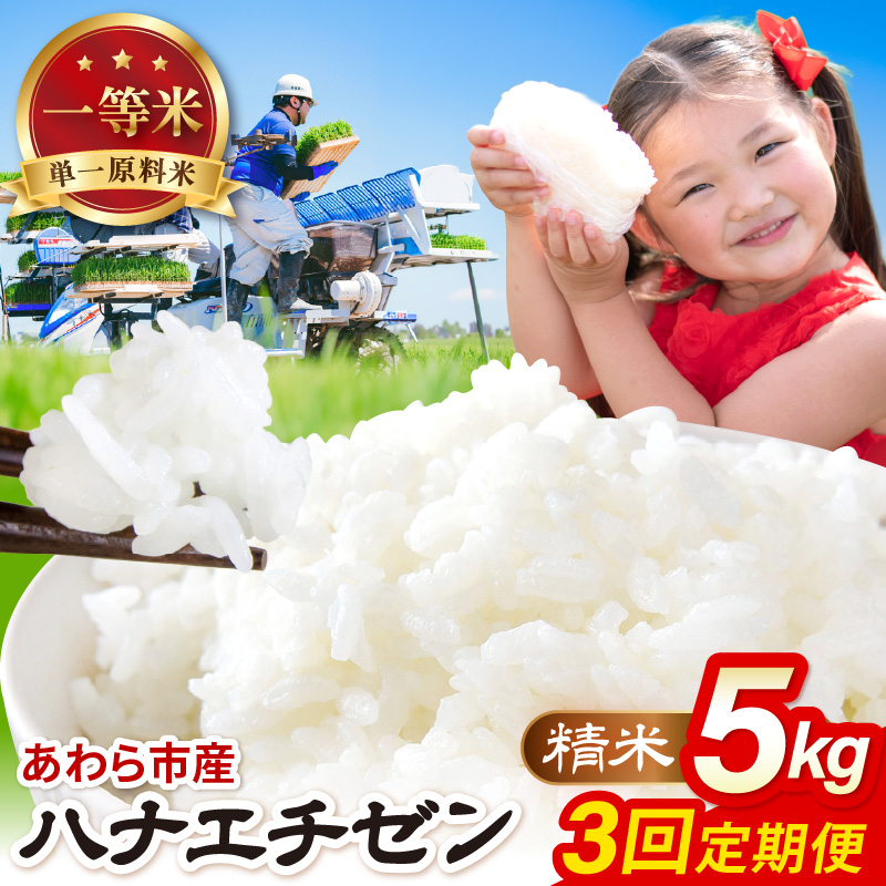 [先行予約][令和8年産]定期便≪3ヶ月連続お届け≫ハナエチゼン 精米 5kg(計15kg)(農事組合法人イーノなかのはま100) / 北陸 福井県産 あわら市 ブランド米 白米 お米 コメ ※2026年10月より順次発送予定 [aw139-b001]