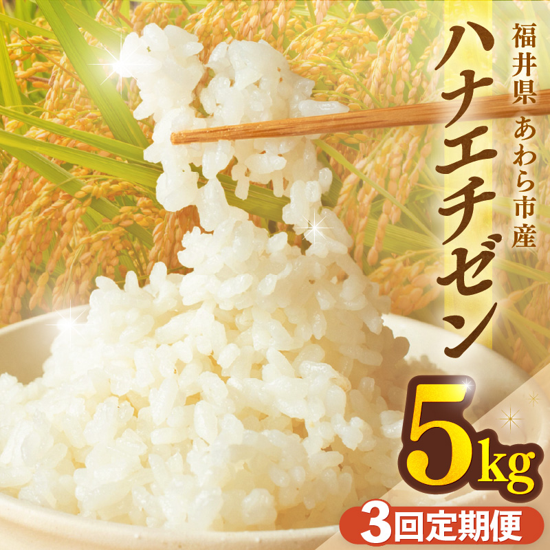 【先行予約】【令和8年産】定期便≪3ヶ月連続お届け≫ハナエチゼン 精米 5kg（計15kg）（長谷川農園） / 北陸 福井県産 あわら市 ブランド米 白米 お米 コメ ※2026年10月より順次発送予定  [aw139-b002]