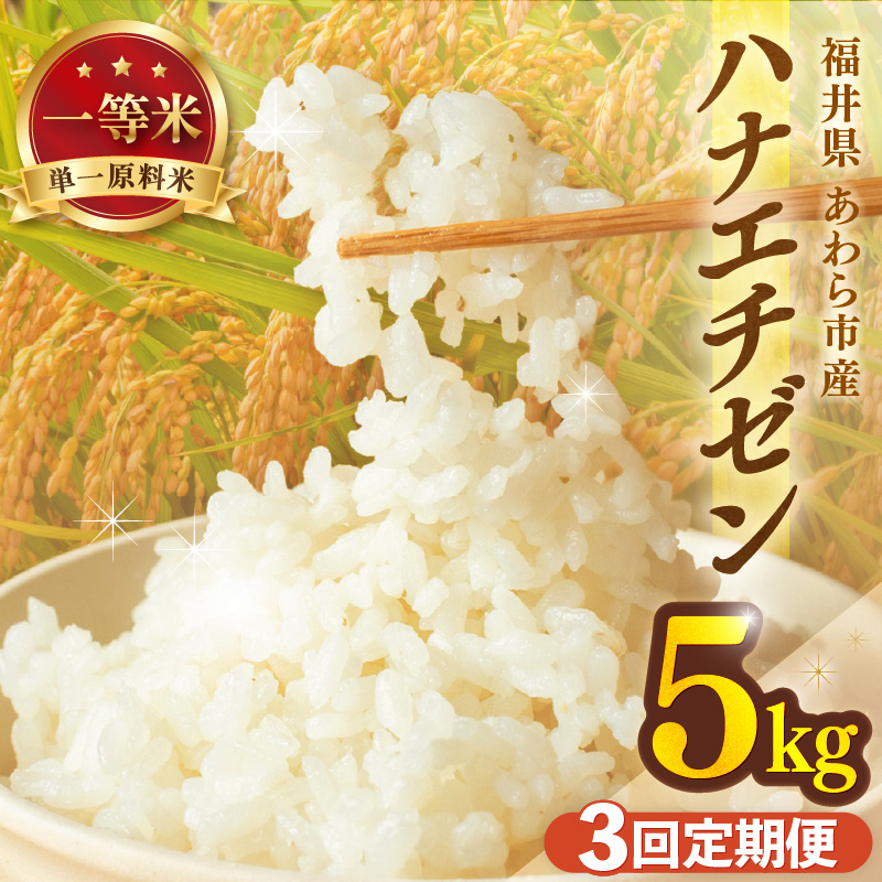 【先行予約】【令和8年産】定期便≪3ヶ月連続お届け≫ハナエチゼン 精米 5kg（計15kg）（長谷川農園） / 北陸 福井県産 あわら市 ブランド米 白米 お米 コメ ※2026年10月より順次発送予定  [aw139-b002]
