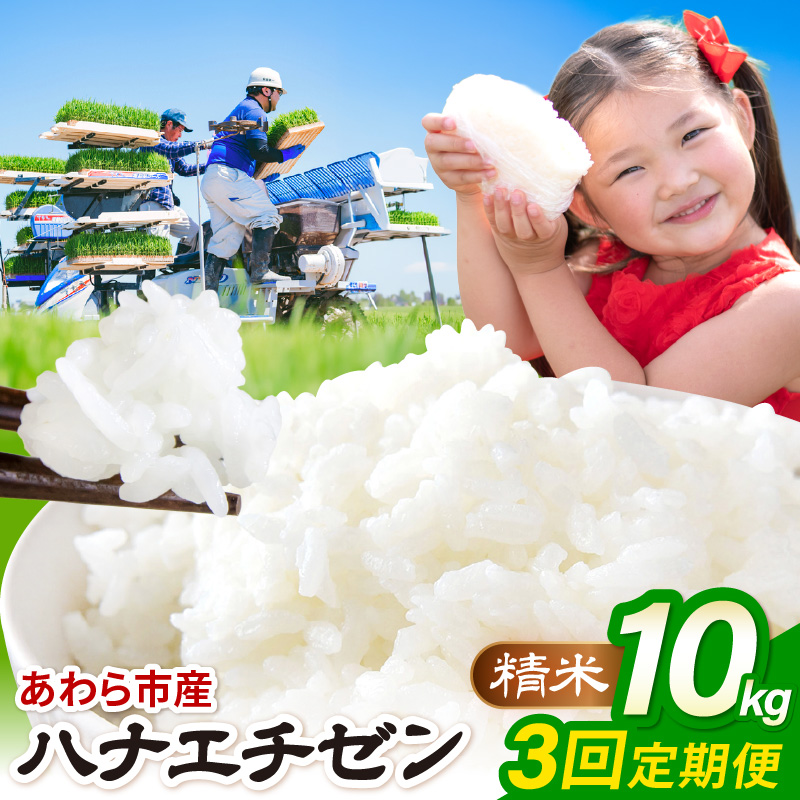 【先行予約】【令和8年産】定期便≪3ヶ月連続お届け≫ハナエチゼン 精米 10kg（計30kg）（農事組合法人イーノなかのはま100） / 北陸 福井県産 あわら市 ブランド米 白米 お米 コメ ※2026年10月より順次発送予定 [aw139-d001]