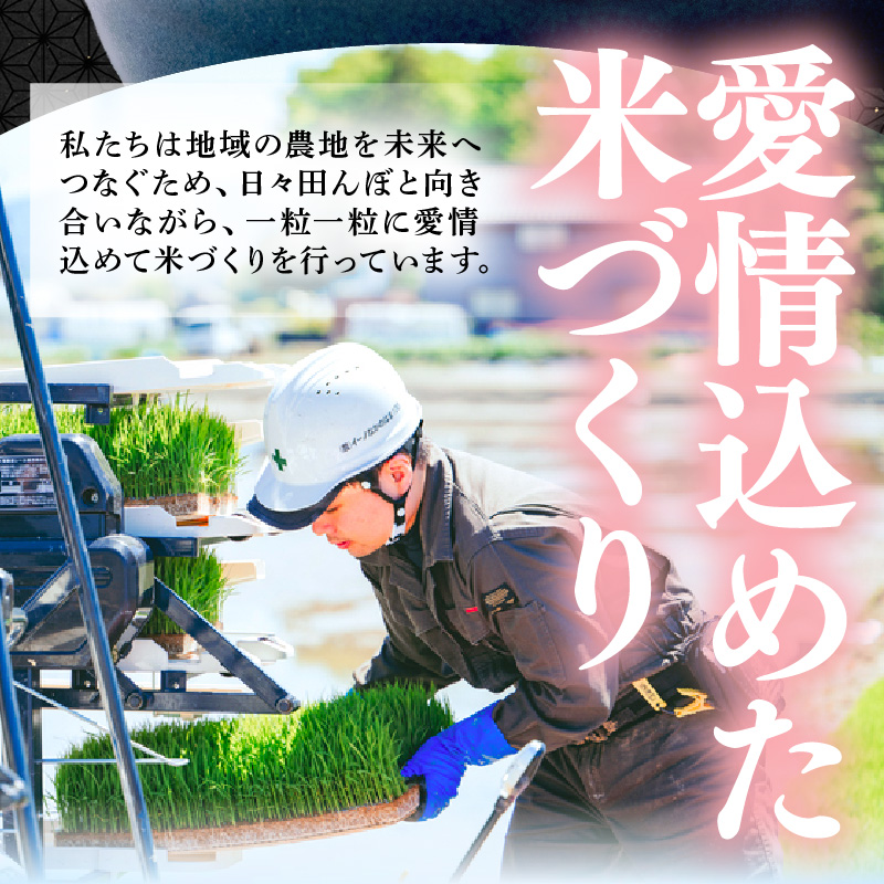 【先行予約】【令和8年産】定期便≪3ヶ月連続お届け≫ハナエチゼン 精米 10kg（計30kg）（農事組合法人イーノなかのはま100） / 北陸 福井県産 あわら市 ブランド米 白米 お米 コメ ※2026年10月より順次発送予定 [aw139-d001]