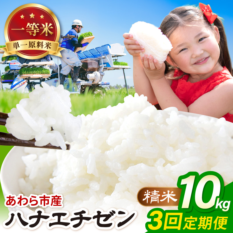 【先行予約】【令和8年産】定期便≪3ヶ月連続お届け≫ハナエチゼン 精米 10kg（計30kg）（農事組合法人イーノなかのはま100） / 北陸 福井県産 あわら市 ブランド米 白米 お米 コメ ※2026年10月より順次発送予定 [aw139-d001]