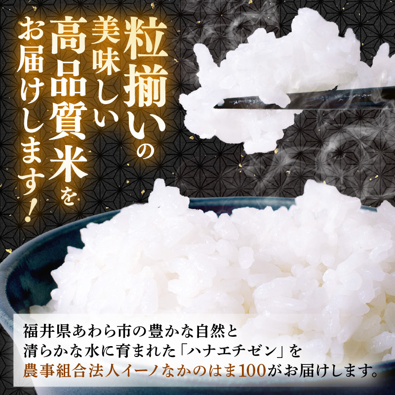 【先行予約】【令和8年産】定期便≪6ヶ月連続お届け≫ハナエチゼン 精米 5kg（計30kg）（農事組合法人イーノなかのはま100） / 北陸 福井県産 あわら市 ブランド米 白米 お米 コメ ※2026年10月より順次発送予定 [aw139-d002]