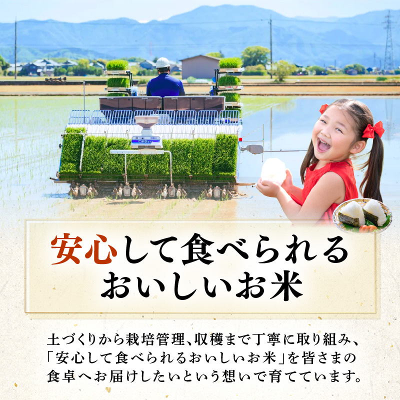 【先行予約】【令和8年産】定期便≪6ヶ月連続お届け≫ハナエチゼン 精米 5kg（計30kg）（農事組合法人イーノなかのはま100） / 北陸 福井県産 あわら市 ブランド米 白米 お米 コメ ※2026年10月より順次発送予定 [aw139-d002]