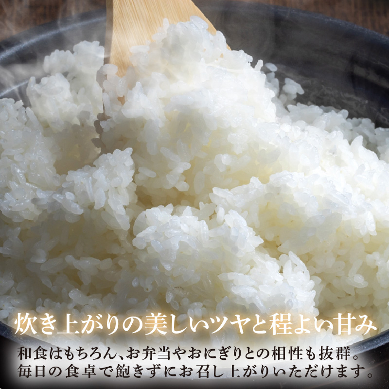 【先行予約】【令和8年産】定期便≪6ヶ月連続お届け≫ハナエチゼン 精米 5kg（計30kg）（農事組合法人イーノなかのはま100） / 北陸 福井県産 あわら市 ブランド米 白米 お米 コメ ※2026年10月より順次発送予定 [aw139-d002]