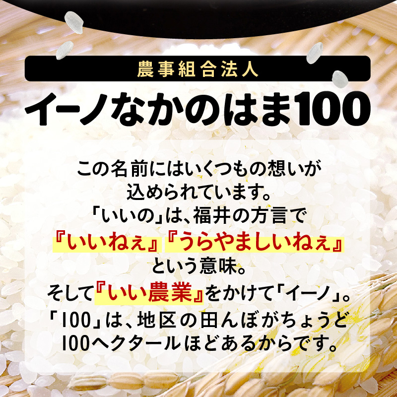 【先行予約】【令和8年産】定期便≪6ヶ月連続お届け≫ハナエチゼン 精米 5kg（計30kg）（農事組合法人イーノなかのはま100） / 北陸 福井県産 あわら市 ブランド米 白米 お米 コメ ※2026年10月より順次発送予定 [aw139-d002]