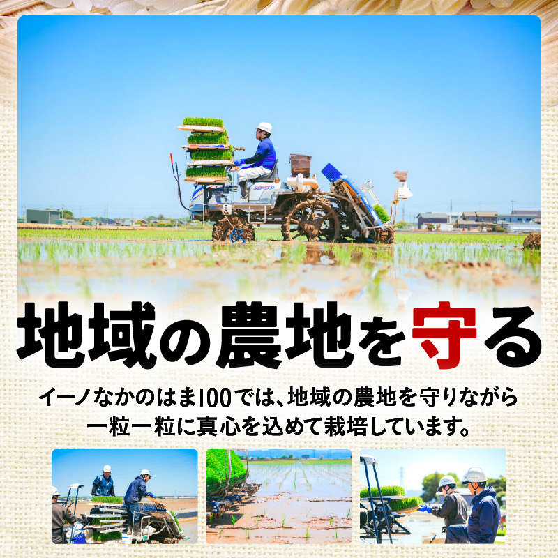 【先行予約】【令和8年産】定期便≪6ヶ月連続お届け≫ハナエチゼン 精米 5kg（計30kg）（農事組合法人イーノなかのはま100） / 北陸 福井県産 あわら市 ブランド米 白米 お米 コメ ※2026年10月より順次発送予定 [aw139-d002]