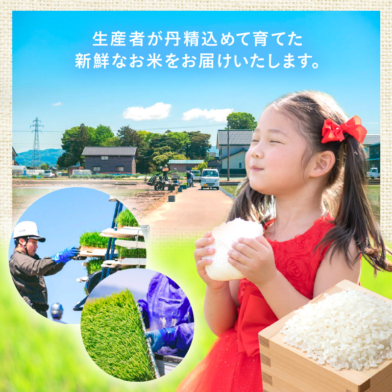 【先行予約】【令和8年産】定期便≪6ヶ月連続お届け≫ハナエチゼン 精米 5kg（計30kg）（農事組合法人イーノなかのはま100） / 北陸 福井県産 あわら市 ブランド米 白米 お米 コメ ※2026年10月より順次発送予定 [aw139-d002]