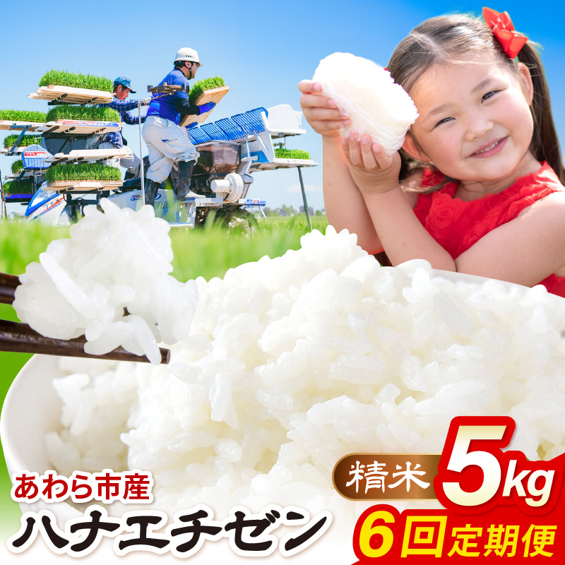 【先行予約】【令和8年産】定期便≪6ヶ月連続お届け≫ハナエチゼン 精米 5kg（計30kg）（農事組合法人イーノなかのはま100） / 北陸 福井県産 あわら市 ブランド米 白米 お米 コメ ※2026年10月より順次発送予定 [aw139-d002]