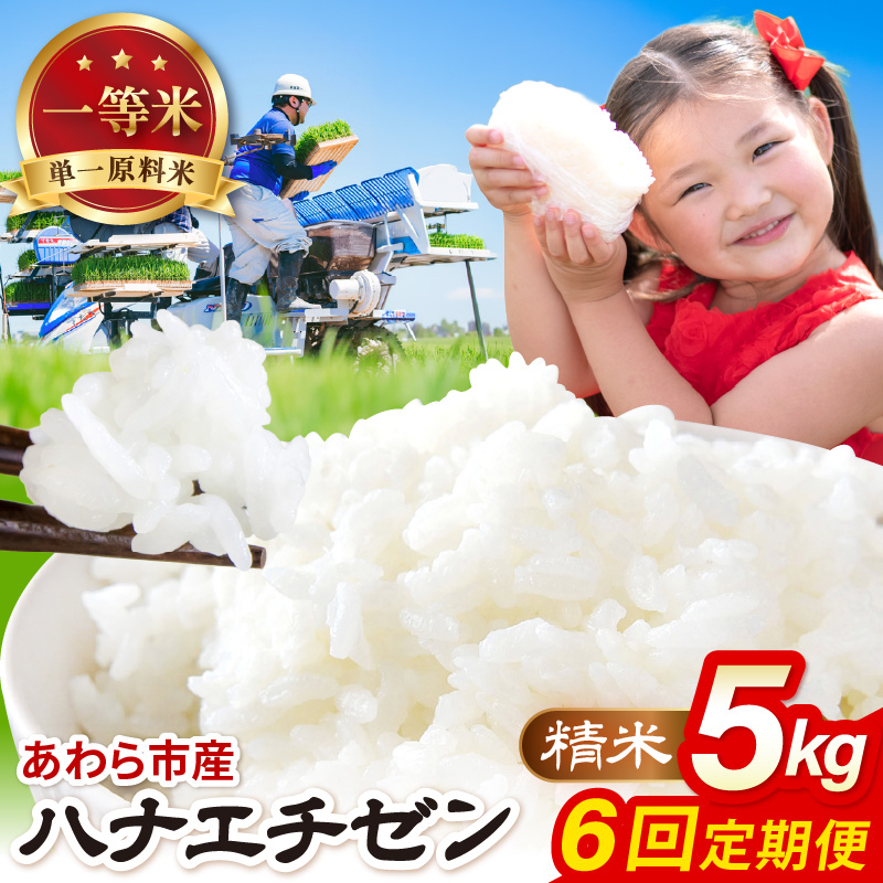 【先行予約】【令和8年産】定期便≪6ヶ月連続お届け≫ハナエチゼン 精米 5kg（計30kg）（農事組合法人イーノなかのはま100） / 北陸 福井県産 あわら市 ブランド米 白米 お米 コメ ※2026年10月より順次発送予定 [aw139-d002]
