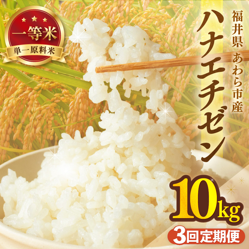 【先行予約】【令和8年産】定期便≪3ヶ月連続お届け≫ハナエチゼン 精米 10kg（計30kg）（長谷川農園） / 北陸 福井県産 あわら市 ブランド米 白米 お米 コメ ※2026年10月より順次発送予定  [aw139-d003]