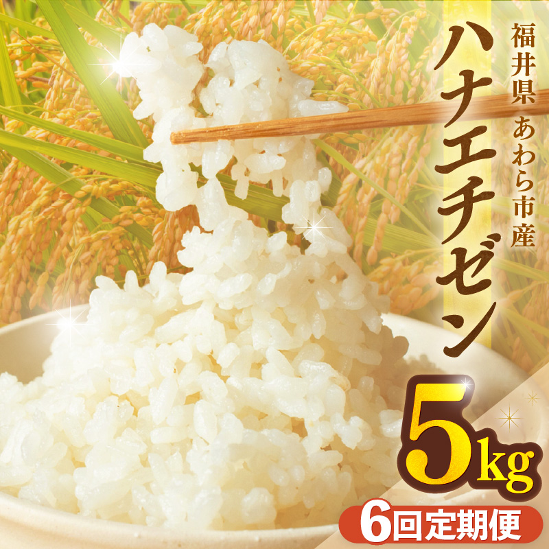 【先行予約】【令和8年産】定期便≪6ヶ月連続お届け≫ハナエチゼン 精米 5kg（計30kg）（長谷川農園） / 北陸 福井県産 あわら市 ブランド米 白米 お米 コメ ※2026年10月より順次発送予定  [aw139-d004]