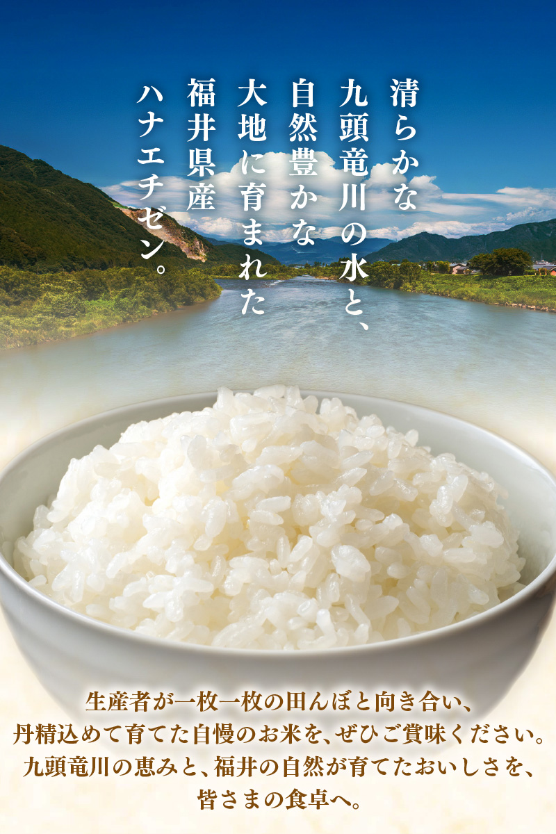 【先行予約】【令和8年産】定期便≪6ヶ月連続お届け≫ハナエチゼン 精米 5kg（計30kg）（長谷川農園） / 北陸 福井県産 あわら市 ブランド米 白米 お米 コメ ※2026年10月より順次発送予定  [aw139-d004]