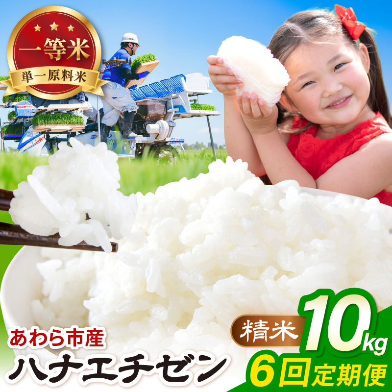 【先行予約】【令和8年産】定期便≪6ヶ月連続お届け≫ハナエチゼン 精米 10kg（計60kg）（農事組合法人イーノなかのはま100） / 北陸 福井県産 あわら市 ブランド米 白米 お米 コメ ※2026年10月より順次発送予定 [aw139-i001]