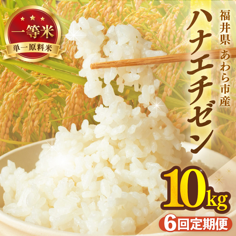 【先行予約】【令和8年産】定期便≪6ヶ月連続お届け≫ハナエチゼン 精米 10kg（計60kg）（長谷川農園） / 北陸 福井県産 あわら市 ブランド米 白米 お米 コメ ※2026年10月より順次発送予定  [aw139-i003]