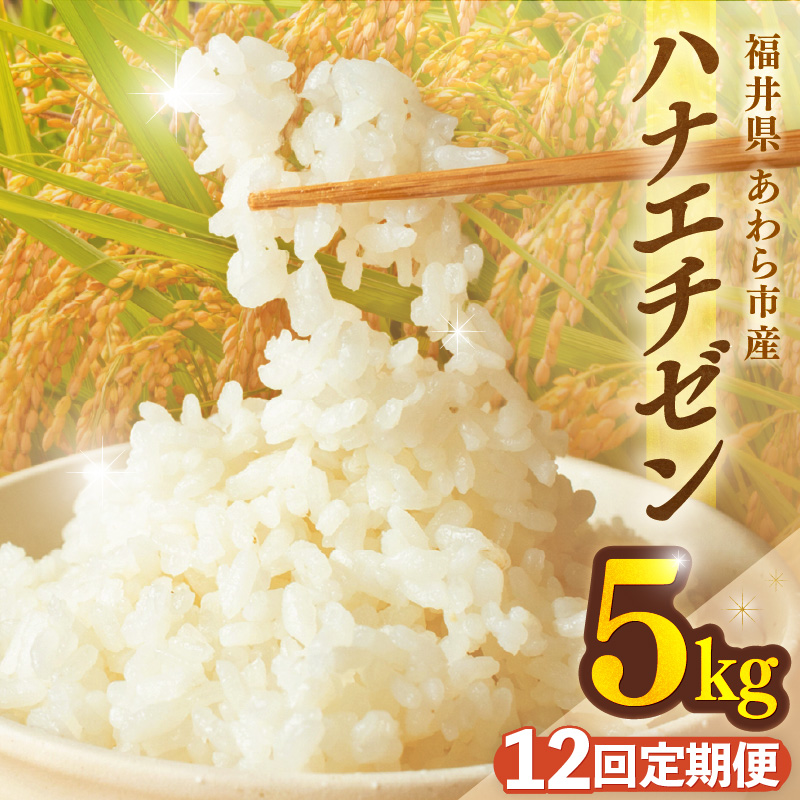 【先行予約】【令和8年産】定期便≪12ヶ月連続お届け≫ハナエチゼン 精米 5kg（計60kg）（長谷川農園） / 北陸 福井県産 あわら市 ブランド米 白米 お米 コメ ※2026年10月より順次発送予定  [aw139-i004]
