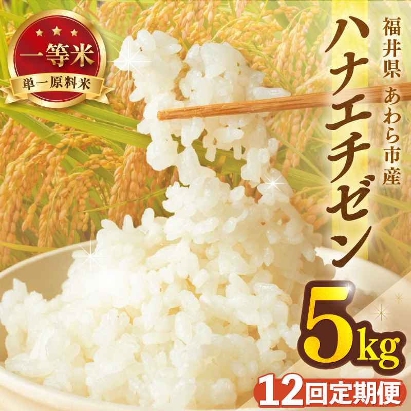 【先行予約】【令和8年産】定期便≪12ヶ月連続お届け≫ハナエチゼン 精米 5kg（計60kg）（長谷川農園） / 北陸 福井県産 あわら市 ブランド米 白米 お米 コメ ※2026年10月より順次発送予定  [aw139-i004]