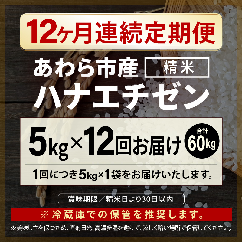 【先行予約】【令和8年産】定期便≪12ヶ月連続お届け≫ハナエチゼン 精米 5kg（計60kg）（長谷川農園） / 北陸 福井県産 あわら市 ブランド米 白米 お米 コメ ※2026年10月より順次発送予定  [aw139-i004]