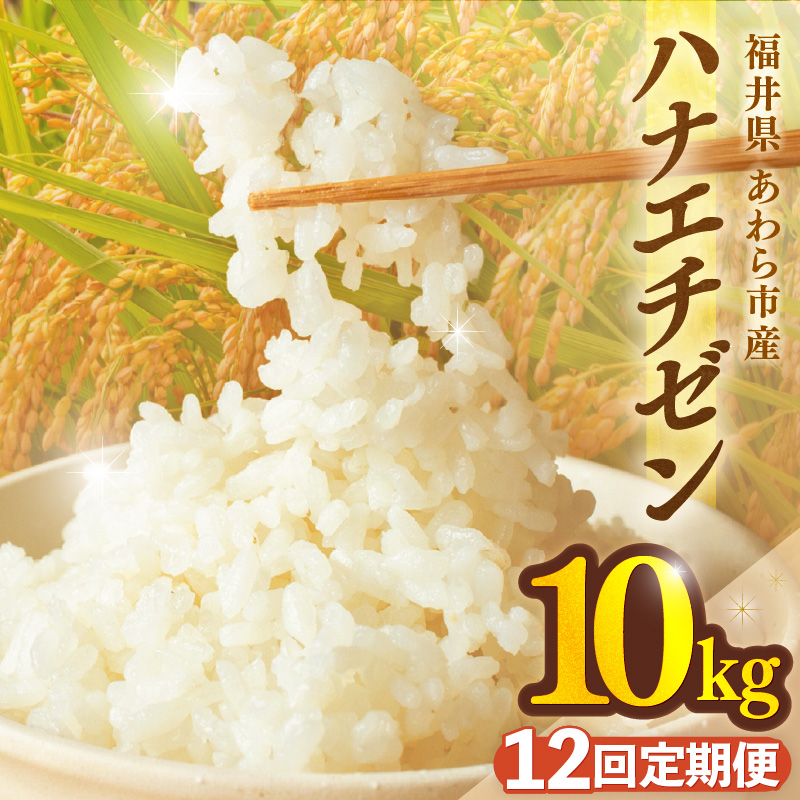 【先行予約】【令和8年産】定期便≪12ヶ月連続お届け≫ハナエチゼン 精米 10kg（計120kg）（長谷川農園） / 北陸 福井県産 あわら市 ブランド米 白米 お米 コメ ※2026年10月より順次発送予定  [aw139-n002]