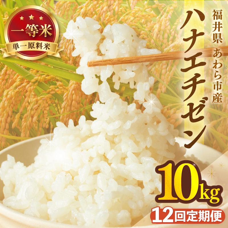 【先行予約】【令和8年産】定期便≪12ヶ月連続お届け≫ハナエチゼン 精米 10kg（計120kg）（長谷川農園） / 北陸 福井県産 あわら市 ブランド米 白米 お米 コメ ※2026年10月より順次発送予定  [aw139-n002]
