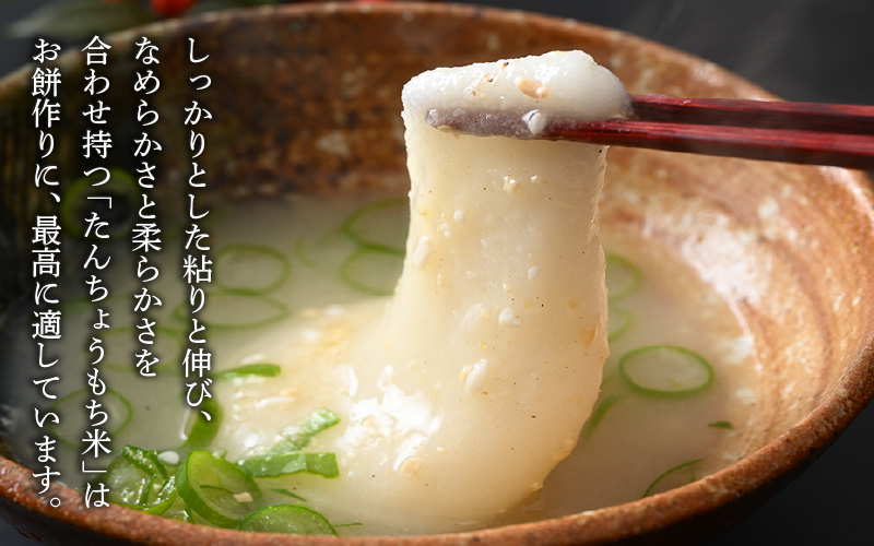【令和7年産】たんちょうもち米 5kg 精米 ≪希少！お餅作りに最良≫ ／ 餅 タンチョウ 餅つき 丸餅 柏餅 [aw064-a021]