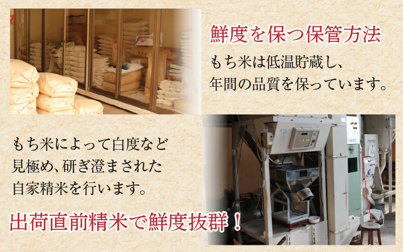 【令和7年産】たんちょうもち米 5kg 精米 ≪希少！お餅作りに最良≫ ／ 餅 タンチョウ 餅つき 丸餅 柏餅 [aw064-a021]
