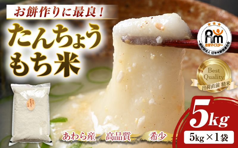 【令和7年産】たんちょうもち米 5kg 精米 ≪希少！お餅作りに最良≫ ／ 餅 タンチョウ 餅つき 丸餅 柏餅 [aw064-a021]