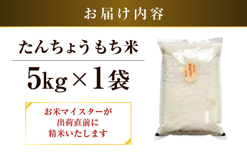 【令和7年産】たんちょうもち米 5kg 精米 ≪希少！お餅作りに最良≫ ／ 餅 タンチョウ 餅つき 丸餅 柏餅 [aw064-a021]