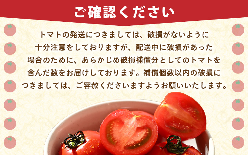 【先行予約】ミディトマト 越のルビー 約2kg 10パック（8パック＋品質補償2パック）／ 福井県産 ブランド トマト 福井県産ブランドトマト 農家直送 有機肥料 低農薬 完熟 甘い ※2026年9月下旬より順次発送 [aw069-a005]