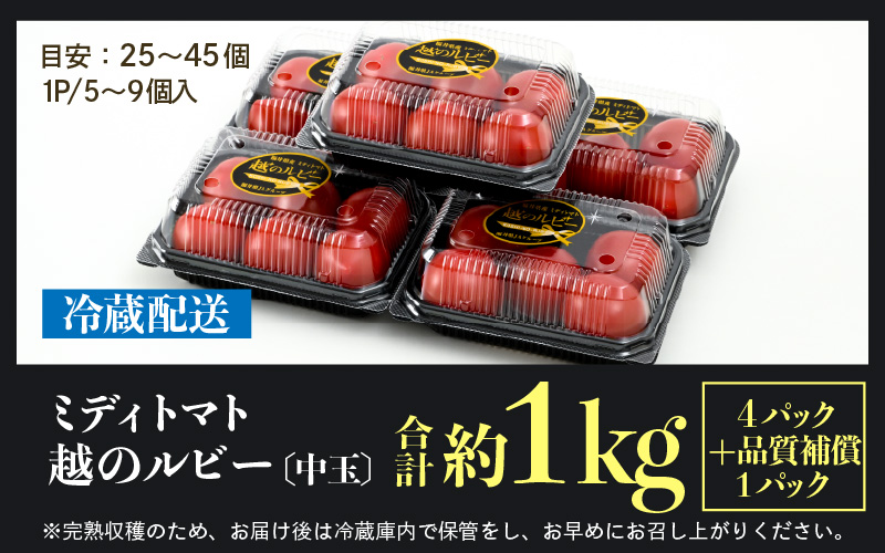 【先行予約】ミディトマト 越のルビー パック入り 約1kg 5パック（4パック＋品質補償1パック） / 福井県産 ブランド トマト 福井県産ブランドトマト 農家直送 有機肥料 低農薬 完熟 甘い ※2026年9月下旬より順次発送 [aw069-a009]
