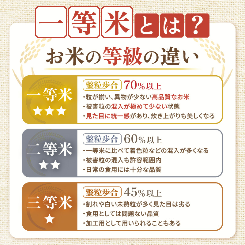 【先行予約】【令和8年産】定期便≪6ヶ月連続お届け≫ハナエチゼン 精米 10kg（計60kg）（長谷川農園） / 北陸 福井県産 あわら市 ブランド米 白米 お米 コメ ※2026年10月より順次発送予定  [aw139-i003]