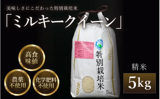 【先行予約】【令和8年産 新米】 ミルキークイーン 精米 5kg 特別栽培米 農薬不使用 化学肥料不使用 ／ 高品質 鮮度抜群 福井県産 ブランド米 ※2026年10月上旬以降順次発送 [aw063-a008_R8]