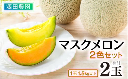 【先行予約】マスクメロン 青肉/赤肉 2色セット（1.5kg以上 2玉入）食べ比べお楽しみ！アールスメロン  / 期間限定 果物 フルーツ 産地直送 人気 食べ比べ ※2026年7月上旬より順次発送 [aw039-a006]