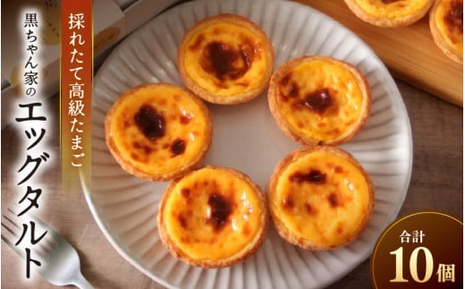 【採れたて高級たまご】黒ちゃん家のエッグタルト 10個入り（5個×2セット） 福地鶏 国産 スイーツ 濃厚 たまご 自社加工 にわとり 平飼い 手作り ギフト [aw036-a008]
