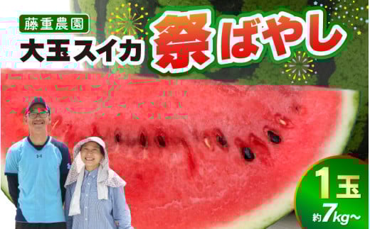 【先行予約】藤重農園の大玉スイカ『祭ばやし』 1玉（7kg～） ≪満足度高い大きなスイカ≫※2026年6月中旬以降順次発送 [aw083-a003]