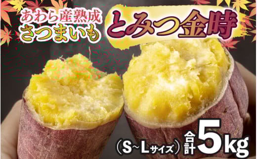 さつまいも とみつ金時 5kg（S～Lサイズ）あわら産 熟成 ／ 焼き芋 スイートポテト 農家直送 期間限定  野菜 常備 [aw041-a001]